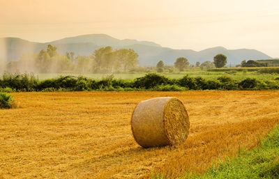 Hay bales on field against sky at sunset