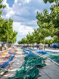 Swimming pool by trees against sky