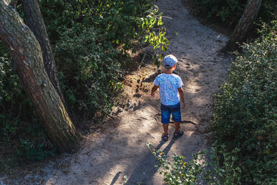 High angle view of boy standing on sand amidst trees