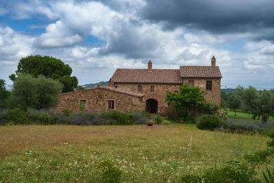 Houses on field against sky