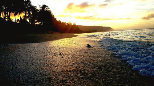 Scenic view of sea at sunset