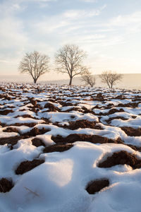 Snow covered landscape