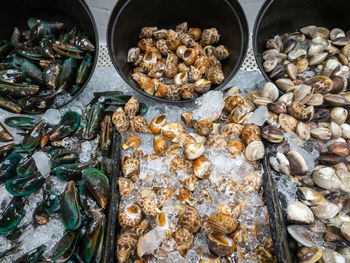 High angle view of shells in container