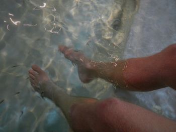 Cropped image of man in water