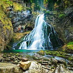 View of waterfall in forest