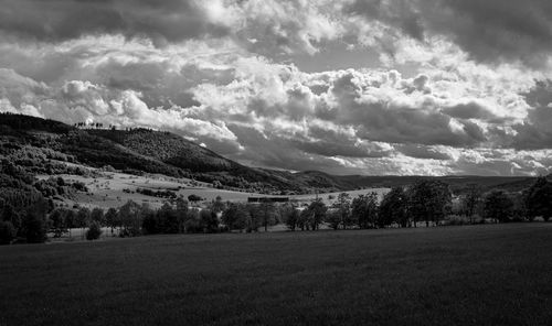 Scenic view of field against sky