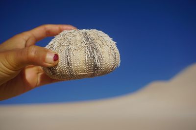 Close-up of hand holding sand against blue sky