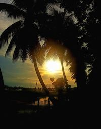 Silhouette palm tree against sky during sunset