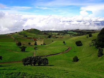 Scenic view of agricultural field against sky