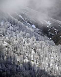 High angle view of snowcapped mountains