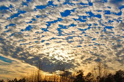 Low angle view of dramatic sky