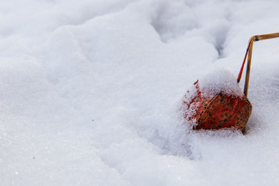 Close-up of frozen leaf on snow