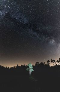 Silhouette trees against sky at night