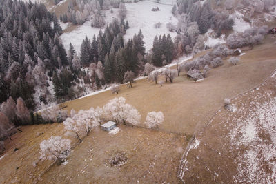 High angle view of snow covered land