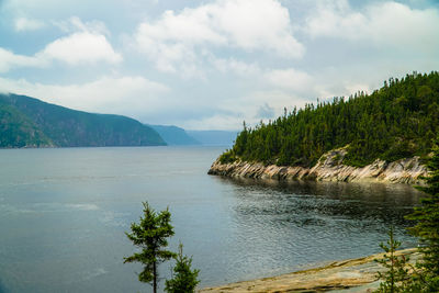 Scenic view of tree mountains against sky