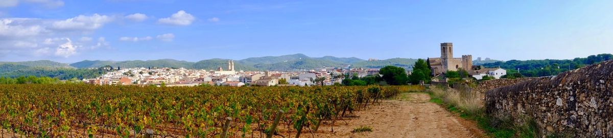 Panoramic view of agricultural field against sky