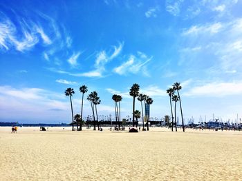 View of palm trees on beach