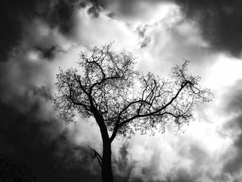 Low angle view of trees against cloudy sky