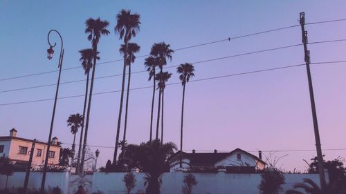 Low angle view of palm trees against sky at dusk