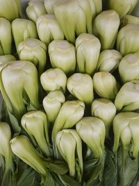 Full frame shot of vegetables for sale at market stall