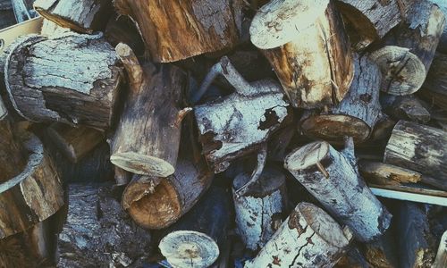 Full frame shot of wooden logs in forest