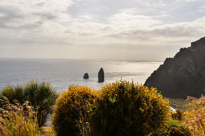 Scenic view of sea against sky