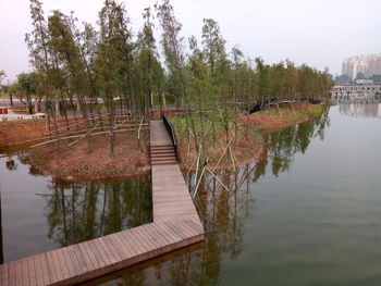 Scenic view of river by trees against sky