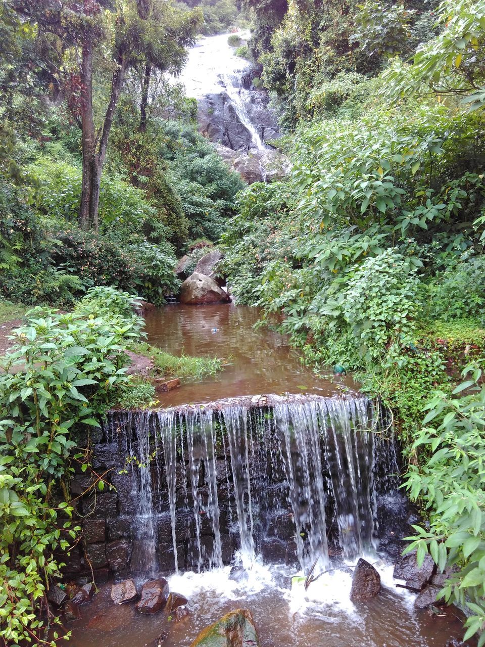 water, tree, flowing water, waterfall, forest, beauty in nature, nature, flowing, rock - object, growth, scenics, stream, motion, plant, tranquility, tranquil scene, green color, long exposure, idyllic, river