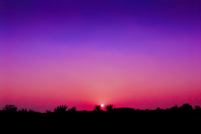 Silhouette trees against sky during sunset