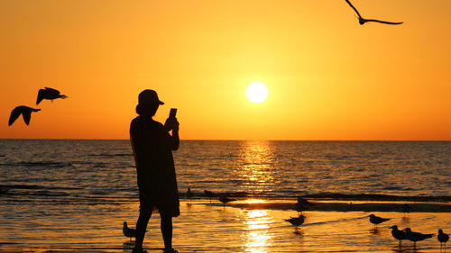 Silhouette friends at sea during sunset