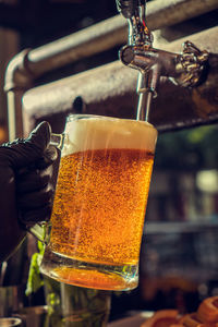 Pouring a big glass of beer