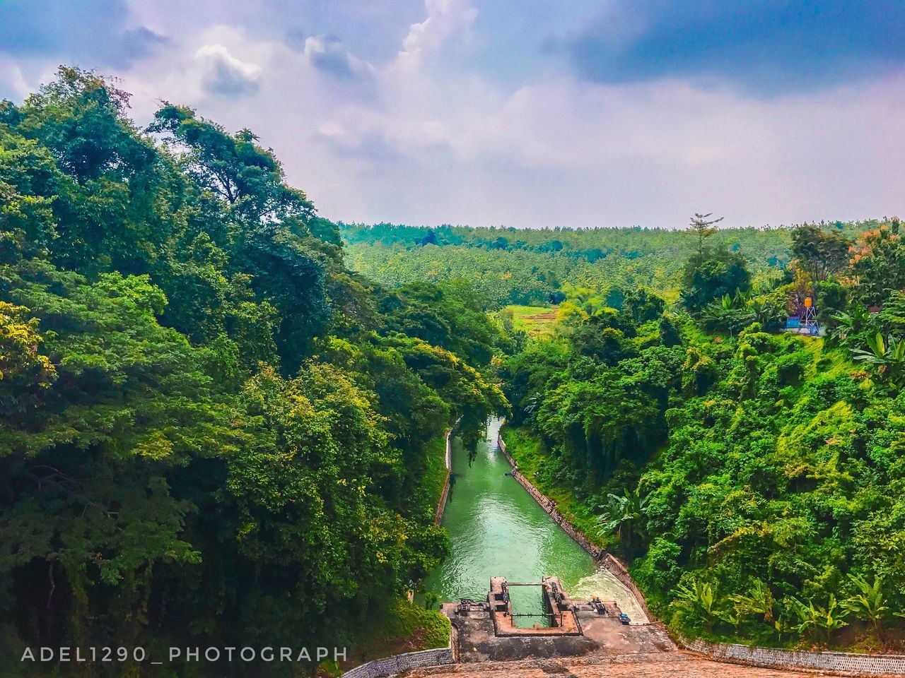 tree, growth, nature, beauty in nature, sky, cloud - sky, green color, scenics, day, tranquility, outdoors, no people, tranquil scene, water