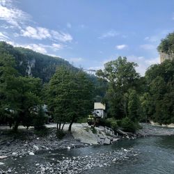 Scenic view of river amidst trees against sky