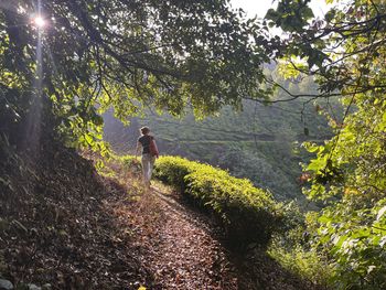 Discovering munnar