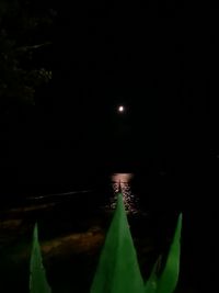 Close-up of illuminated lights at night