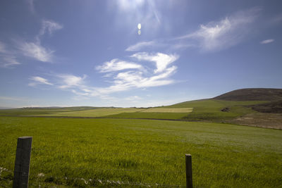 Scenic view of field against sky