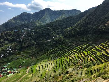 High angle view of agricultural field