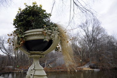 Close-up of bare trees against sky