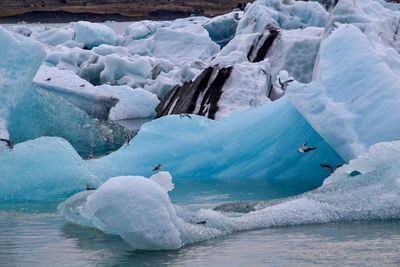 Scenic view of frozen sea