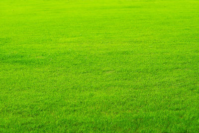 Full frame shot of green field