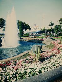 View of pond in park