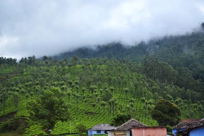 Scenic view of trees and houses against sky