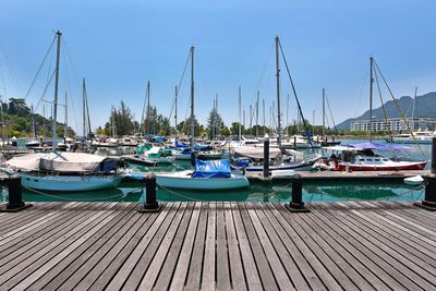 Sailboats moored at harbor