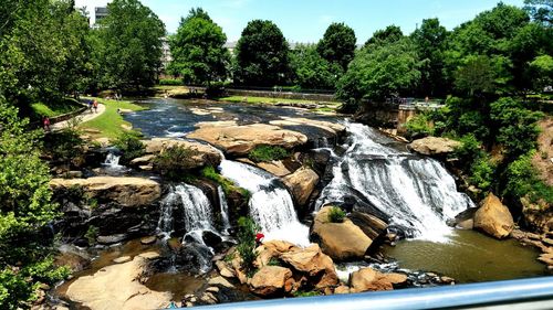 Scenic view of waterfall in forest