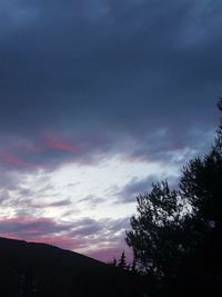 Low angle view of silhouette trees against sky at sunset