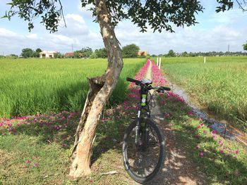 Bicycle parked on field against sky