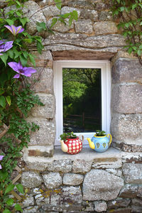 Potted plant on stone wall of building