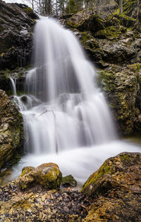 Scenic view of waterfall in forest