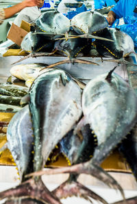 Close-up of fish for sale in market