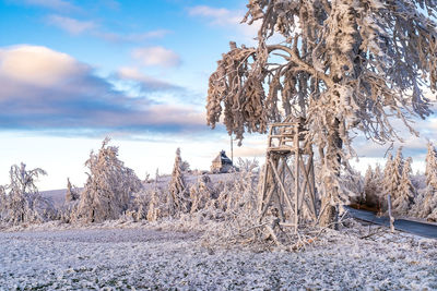 Trees on snow covered field against sky